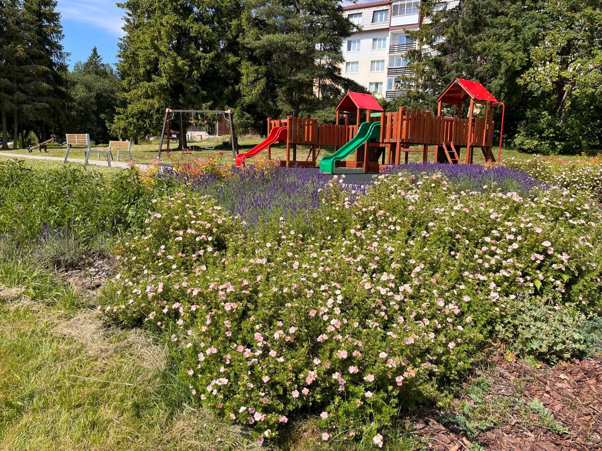 Cozy Apartment By The Forest Tatranska Strba Eksteriør bilde